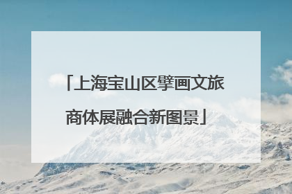上海宝山区擘画文旅商体展融合新图景