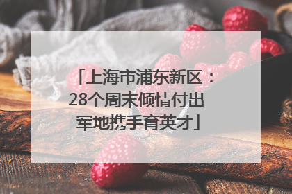 上海市浦东新区：28个周末倾情付出 军地携手育英才