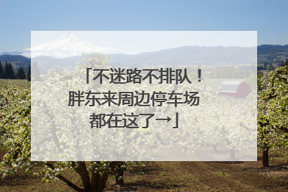 不迷路不排队！胖东来周边停车场都在这了→