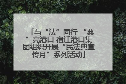 与“法”同行 “典”亮港口 宿迁港口集团组织开展“民法典宣传月”系列活动