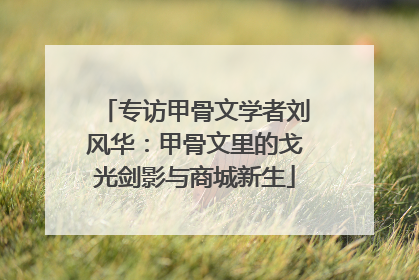 专访甲骨文学者刘风华：甲骨文里的戈光剑影与商城新生
