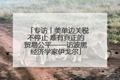 专访丨美单边关税不停止 难有真正的贸易公平——访波黑经济学家伊戈尔
