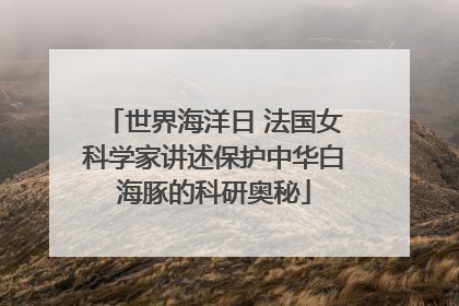 世界海洋日 法国女科学家讲述保护中华白海豚的科研奥秘