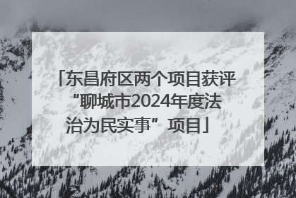 东昌府区两个项目获评“聊城市2024年度法治为民实事”项目
