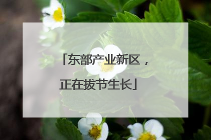 东部产业新区，正在拔节生长