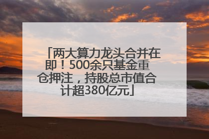 两大算力龙头合并在即！500余只基金重仓押注，持股总市值合计超380亿元