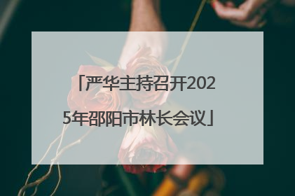 严华主持召开2025年邵阳市林长会议