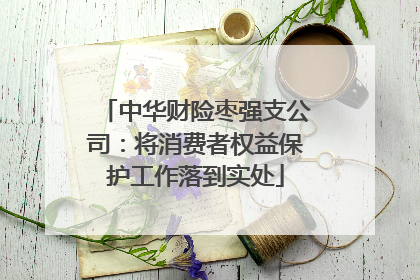 中华财险枣强支公司：将消费者权益保护工作落到实处