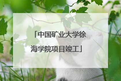 中国矿业大学徐海学院项目竣工