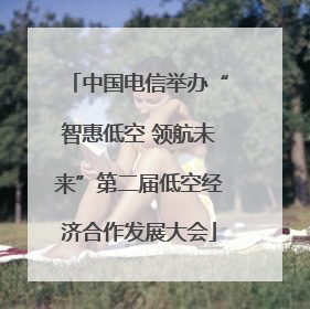 中国电信举办“智惠低空 领航未来”第二届低空经济合作发展大会