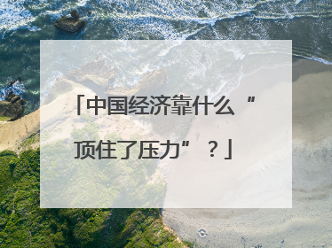 中国经济靠什么“顶住了压力”？