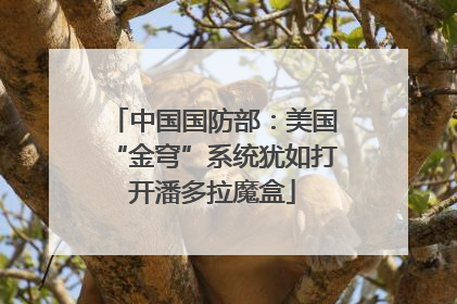 中国国防部：美国“金穹”系统犹如打开潘多拉魔盒