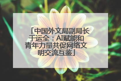 中国外文局副局长于运全：AI赋能和青年力量共促网络文明交流互鉴