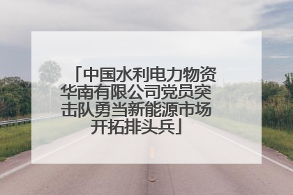 中国水利电力物资华南有限公司党员突击队勇当新能源市场开拓排头兵
