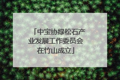 中宝协绿松石产业发展工作委员会在竹山成立