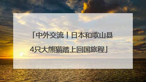 中外交流丨日本和歌山县4只大熊猫踏上回国旅程