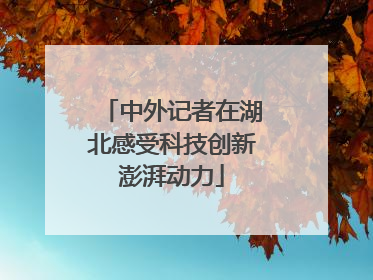 中外记者在湖北感受科技创新澎湃动力