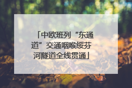 中欧班列“东通道”交通咽喉绥芬河隧道全线贯通