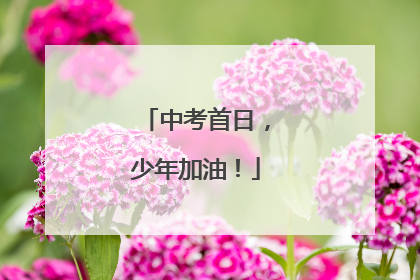 中考首日，少年加油！