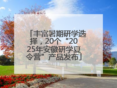 丰富暑期研学选择，20个“2025年安徽研学夏令营”产品发布