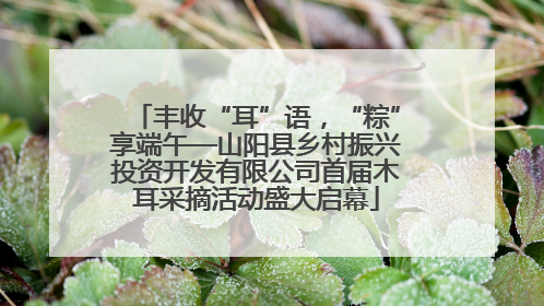 丰收“耳”语，“粽”享端午—山阳县乡村振兴投资开发有限公司首届木耳采摘活动盛大启幕