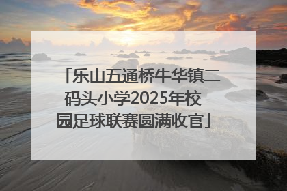 乐山五通桥牛华镇二码头小学2025年校园足球联赛圆满收官