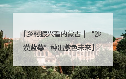 乡村振兴看内蒙古｜“沙漠蓝莓”种出紫色未来