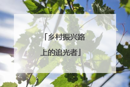 乡村振兴路上的追光者