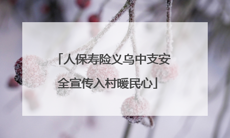 人保寿险义乌中支安全宣传入村暖民心