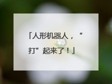 人形机器人，“打”起来了！