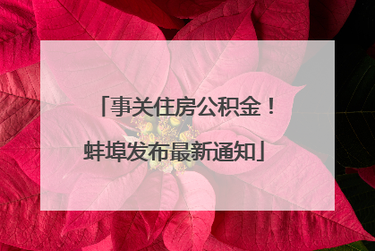 事关住房公积金！蚌埠发布最新通知