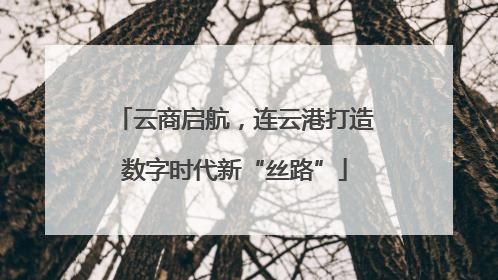 云商启航，连云港打造数字时代新“丝路”