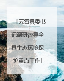 云霄县委书记调研督导全县生态环境保护重点工作