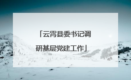云霄县委书记调研基层党建工作