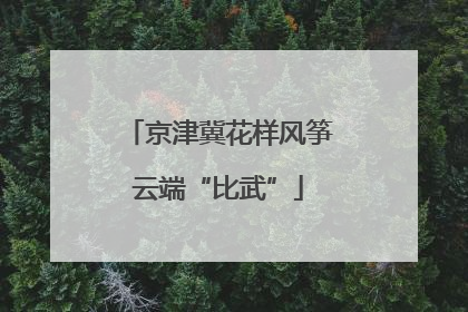 京津冀花样风筝云端“比武”