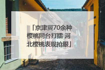 京津冀70余种樱桃同台打擂 河北樱桃表现抢眼