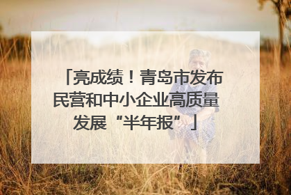 亮成绩！青岛市发布民营和中小企业高质量发展“半年报”
