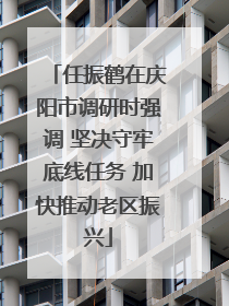 任振鹤在庆阳市调研时强调 坚决守牢底线任务 加快推动老区振兴