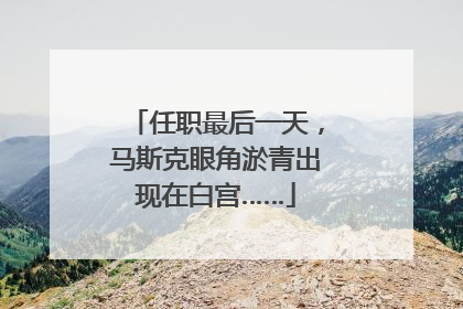 任职最后一天，马斯克眼角淤青出现在白宫……