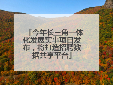 今年长三角一体化发展实事项目发布，将打造招聘数据共享平台