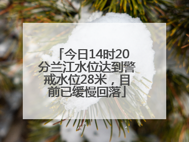 今日14时20分兰江水位达到警戒水位28米，目前已缓慢回落