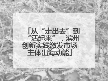 从“走出去”到“活起来”，滨州创新实践激发市场主体出海动能