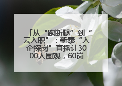 从“跑断腿”到“云入职”：新泰“入企探岗”直播让3000人围观，60岗位一周填满