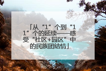 从“1”个到“11”个的延续——感受“社区+园区”中的民族团结情
