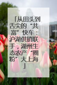 从田头到舌尖的“共富”快车：沪湖供销联手，湖州生态农产“圈粉”大上海