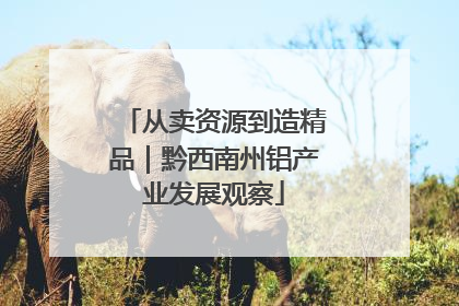 从卖资源到造精品｜黔西南州铝产业发展观察