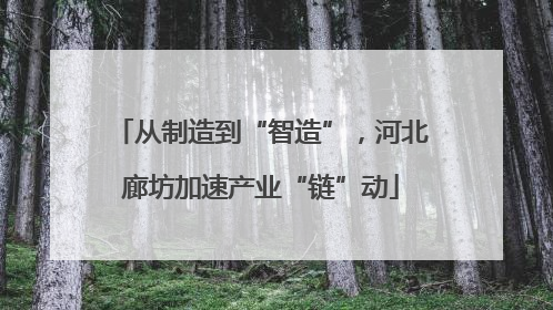 从制造到“智造”，河北廊坊加速产业“链”动