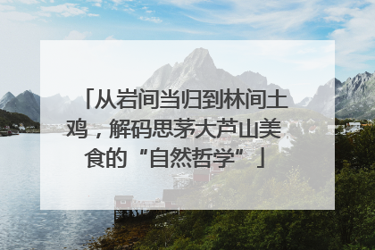 从岩间当归到林间土鸡，解码思茅大芦山美食的“自然哲学”