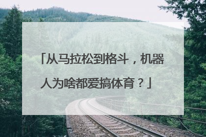 从马拉松到格斗，机器人为啥都爱搞体育？