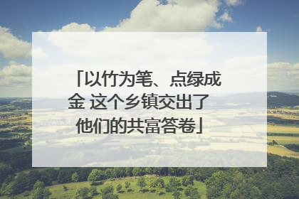 以竹为笔、点绿成金 这个乡镇交出了他们的共富答卷